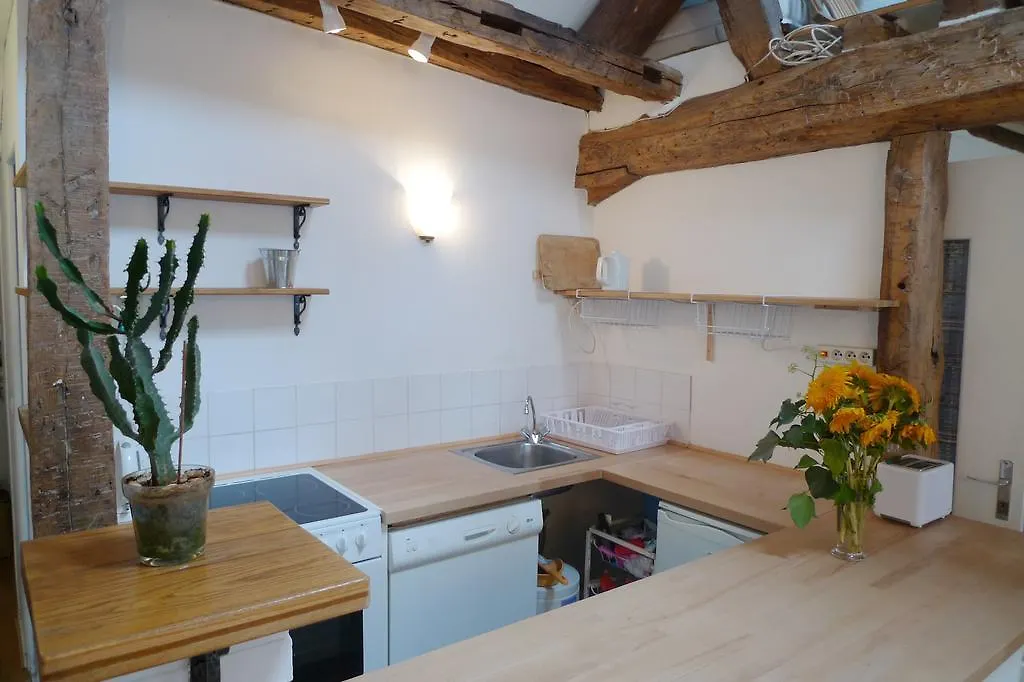 Le Jardin Du Marais Apartment Paris